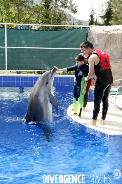 Kids and dolphins