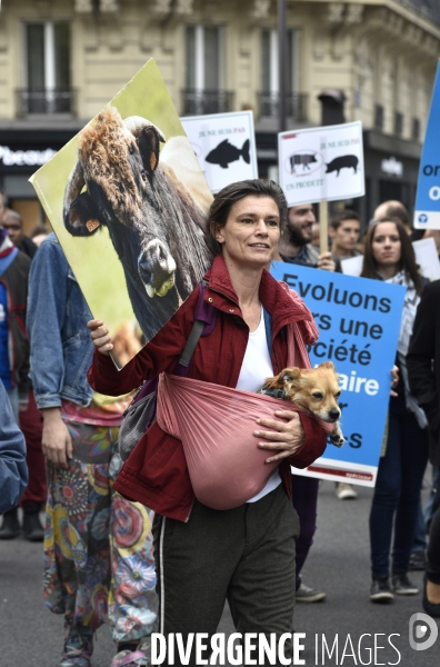 Cause animale : VEGGIE PRIDE. Walk for the animals rights.