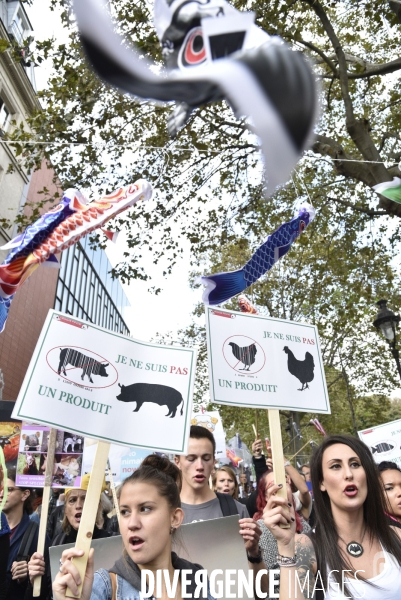 Cause animale : VEGGIE PRIDE. Walk for the animals rights.