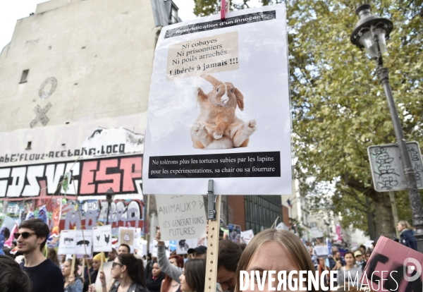 Cause animale : VEGGIE PRIDE. Walk for the animals rights.