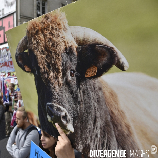 Cause animale : VEGGIE PRIDE. Walk for the animals rights.