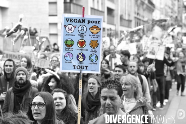 Cause animale : VEGGIE PRIDE. Walk for the animals rights.