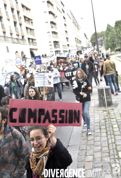 Cause animale : VEGGIE PRIDE. Walk for the animals rights.