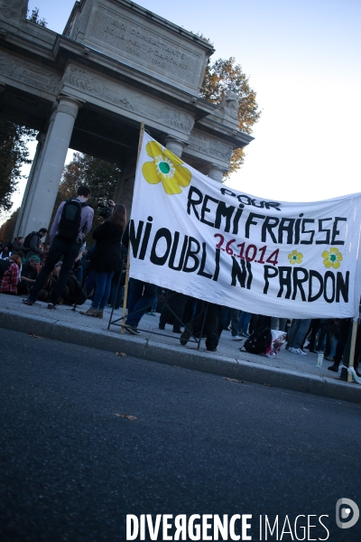 Manifestation en souvenir de Rémi Fraisse