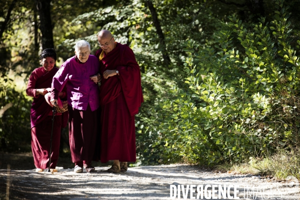 La Peintre Yahne Le Toumelin et son fils Matthieu Ricard chez eux en Dordogne