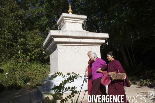 La Peintre Yahne Le Toumelin et son fils Matthieu Ricard chez eux en Dordogne