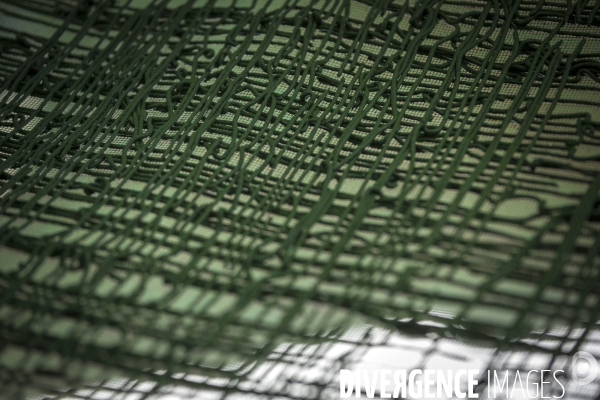 Spiruline