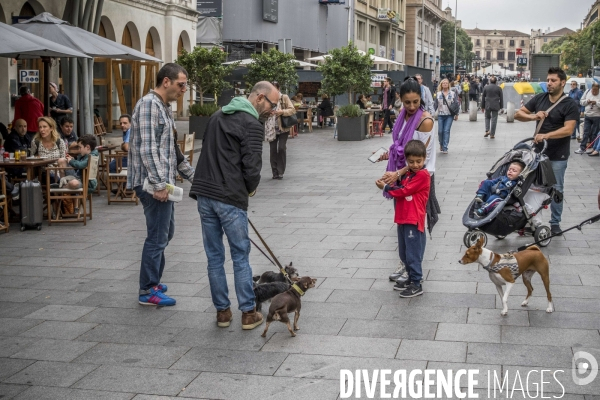 Barcelone, au gré de ses rues