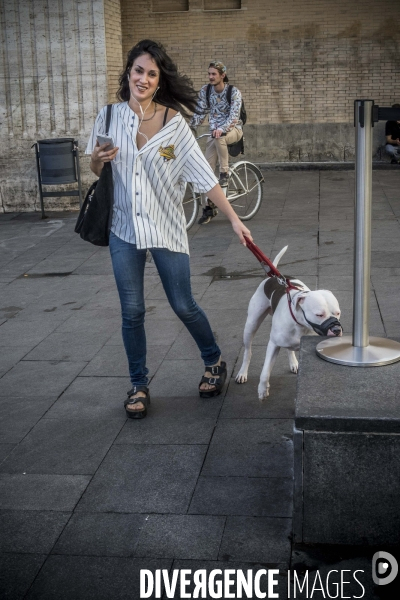 Barcelone, au gré de ses rues