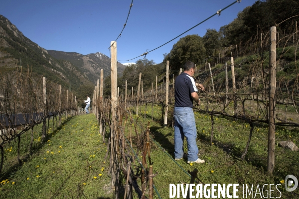 Cim de Cel Vin d Andorre