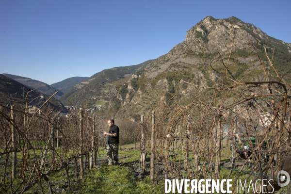 Cim de Cel Vin d Andorre