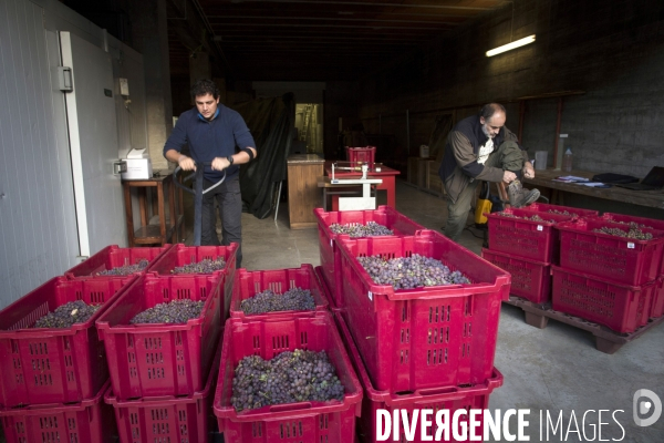Cim de Cel Vin d Andorre