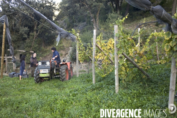 Cim de Cel Vin d Andorre