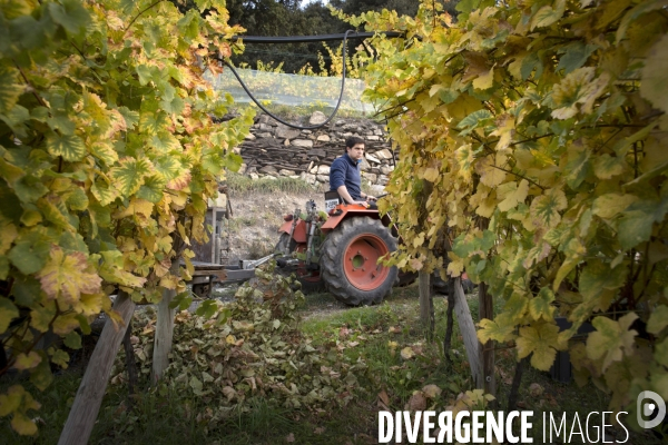 Cim de Cel Vin d Andorre