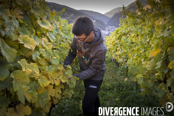 Cim de Cel Vin d Andorre