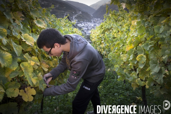 Cim de Cel Vin d Andorre