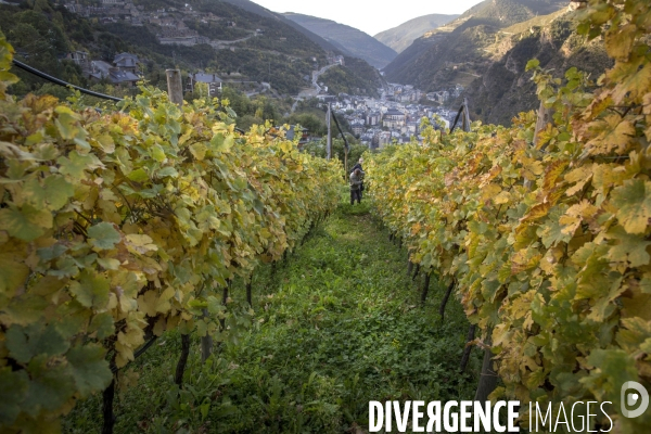 Cim de Cel Vin d Andorre