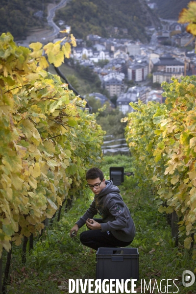 Cim de Cel Vin d Andorre
