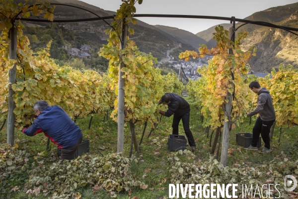 Cim de Cel Vin d Andorre