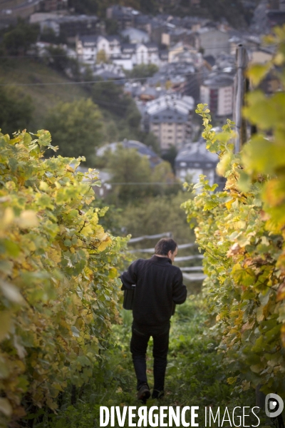Cim de Cel Vin d Andorre