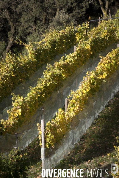 Cim de Cel Vin d Andorre