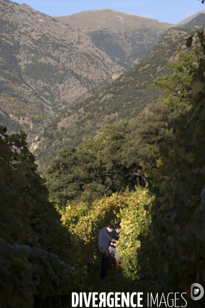 Cim de Cel Vin d Andorre