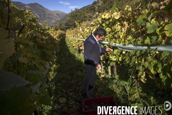 Cim de Cel Vin d Andorre