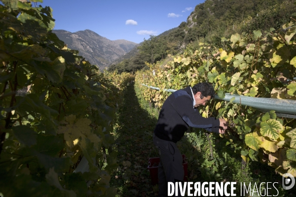 Cim de Cel Vin d Andorre