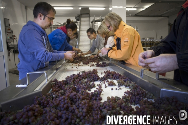 Cim de Cel Vin d Andorre