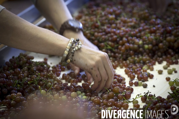 Cim de Cel Vin d Andorre