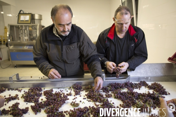 Cim de Cel Vin d Andorre