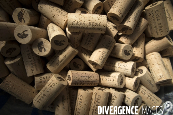 Cim de Cel Vin d Andorre