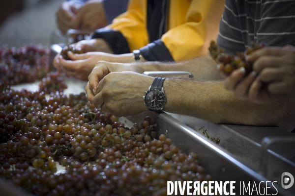 Cim de Cel Vin d Andorre