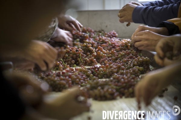 Cim de Cel Vin d Andorre