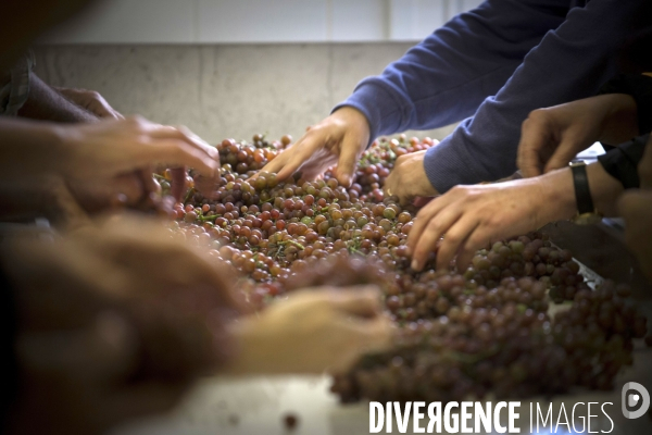 Cim de Cel Vin d Andorre