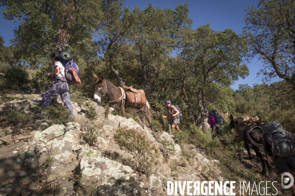 Les Pyrénées Au Pas de l Ane..