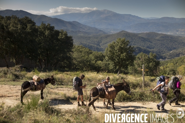 Les Pyrénées Au Pas de l Ane..