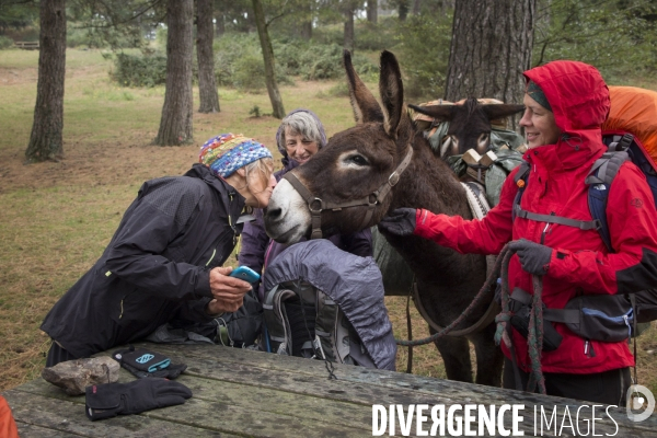 Les Pyrénées Au Pas de l Ane..