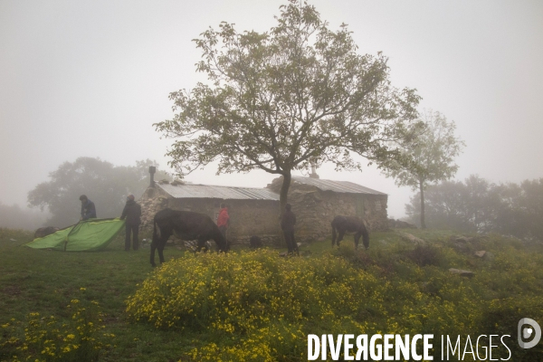 Les Pyrénées Au Pas de l Ane..