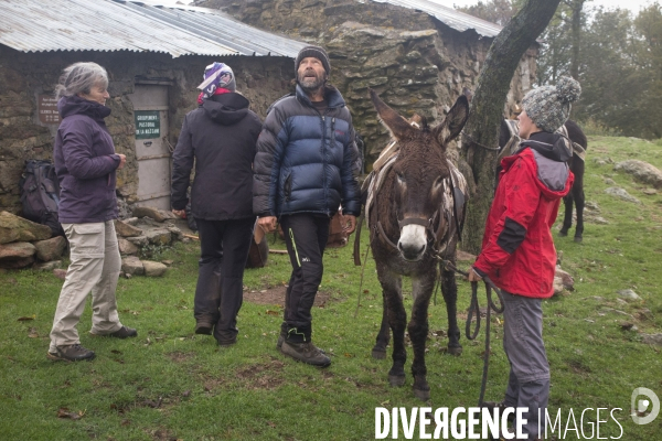 Les Pyrénées Au Pas de l Ane..