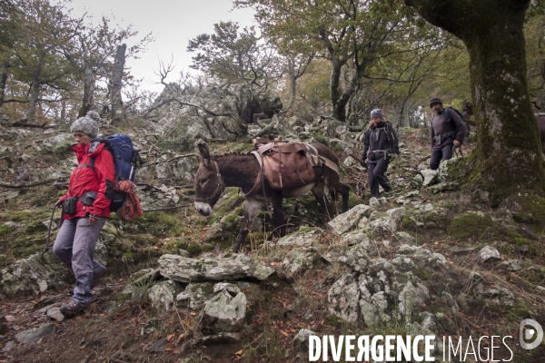 Les Pyrénées Au Pas de l Ane..