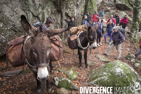 Les Pyrénées Au Pas de l Ane..