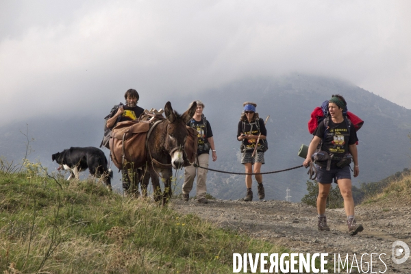 Les Pyrénées Au Pas de l Ane..