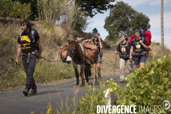 Les Pyrénées Au Pas de l Ane..