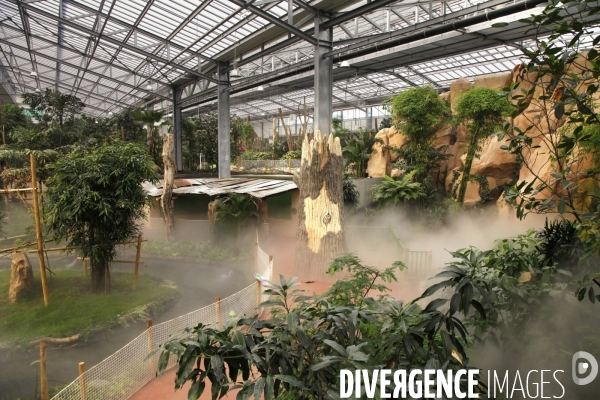 Biotropica