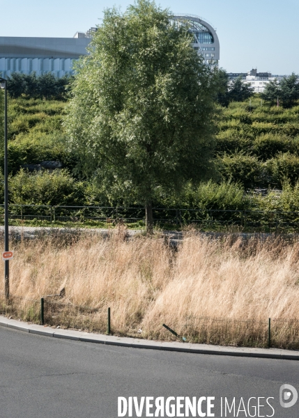 Raccourcis/Shortcuts - Grand Paris - Puteaux