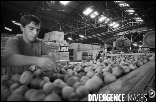 Années 80 Les conserveries