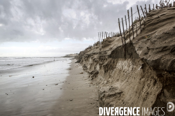 Erosion du littoral languedocien