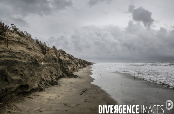 Erosion du littoral languedocien