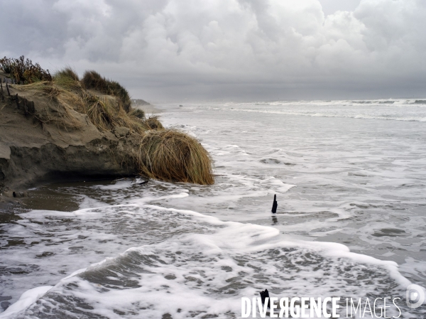 Erosion du littoral languedocien